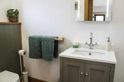 a bathroom with a sink and a mirror and a toilet at The Tin Shed in Rhayader
