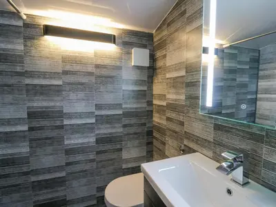 a bathroom with a sink and a toilet and a mirror at Tree House in Aberaeron