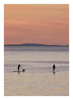 two people and a dog on surfboards in the water at Robert's Cottage in Abergynolwyn