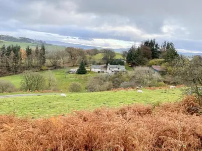 a field with some animals grazing in a field at The Barn in Llangwm