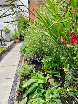 a garden with plants and flowers and a sidewalk at River walk . Shrewsbury.Shropshire.With parking. in Shrewsbury