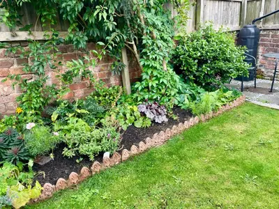 a garden with flowers and plants in a yard at River walk . Shrewsbury.Shropshire.With parking. in Shrewsbury