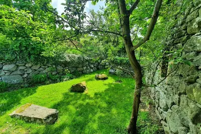 a stone wall with a tree and green grass at The Hayloft Llwyndu in Barmouth