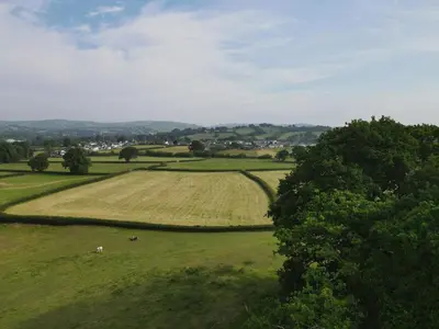 an aerial view of a field with animals in it at Romantic country cabin with log burner, spectacular views, spa hot tub - Brecon Beacons National Park dog friendly in Llangadog