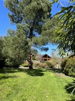 a tree in the middle of a yard with a house at Countryside 3 Bedroom Log Cabin With Private Hot Tub - Ash in Leominster