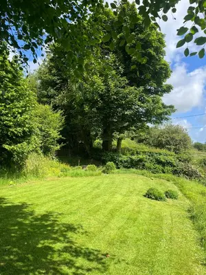 a large grass field with a tree in the background at Tranquil 1 bedroom cottage 15 mins drive to sea in Mydroilin