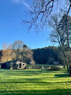 a house in a field of green grass at Riverside Cabins in Shrewsbury
