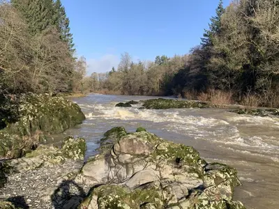 a river with some rocks and trees and water at 2 Bed in Builth Wells oc-bow198 in Builth Wells