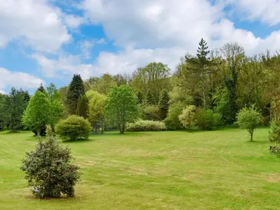 a field of grass with trees and bushes at Goitre Farmhouse in Llanwrda