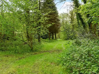 a path through a field with trees and grass at Goitre Farmhouse in Llanwrda