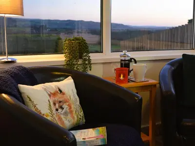 a chair with a pillow with a cat on it at Gwynant in Ystrad Meurig