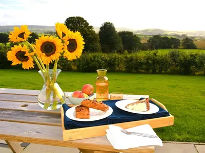a picnic table with plates of food and sunflowers at Gwynant in Ystrad Meurig